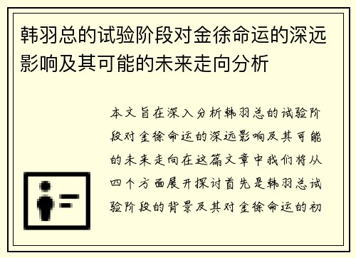 韩羽总的试验阶段对金徐命运的深远影响及其可能的未来走向分析